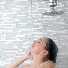 Clean Stream Shower Filter product image