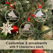 Personalized Pet Christmas Tree Ornaments (Set of 2) product image