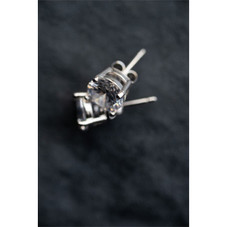 Jones New York Elizabeth Silver Earrings product image