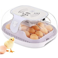 Egg Incubator with Auto-Turning Mechanism & Filtration System product image