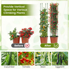 Costway Adjustable Plant Support Tomato Cages (2-Pack) product image