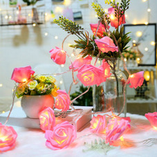 iMounTEK® Rose Flower String Lights (2-Pack) product image