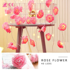 iMounTEK® Rose Flower String Lights (2-Pack) product image