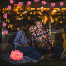 iMounTEK® Rose Flower String Lights (2-Pack) product image