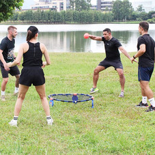 LIMERLO® Spike Ball Outdoor Game Set product image