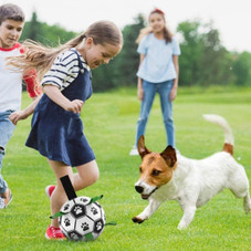 Interactive Dog Soccer Ball product image