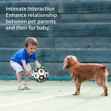 Interactive Dog Soccer Ball product image