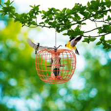 Costway Squirrel-Proof Pumpkin Bird Feeder product image