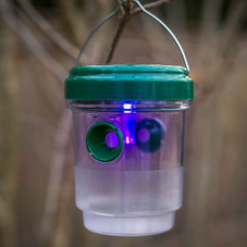 Suntrap Pro Eco-Friendly Solar Powered LED Mosquito & Insect Trap product image