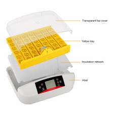 42-Egg Practical Fully-Automatic Incubator product image