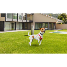 iMounTEK® Wireless Dog Electric Fence product image