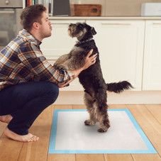 iMounTEK® Disposable Dog Training Underpad Chux, 50 ct. product image