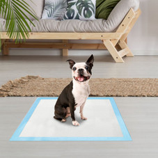 iMounTEK® Disposable Dog Training Underpad Chux, 50 ct. product image