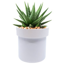 Secret Safe Flower Pot with Key Lock product image