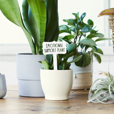Humorous House Plant Stake (5-Pack) product image
