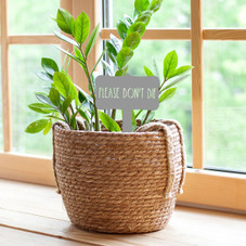 Humorous House Plant Stake (5-Pack) product image