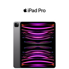 Apple iPad Pro 6, 256GB (Wifi + 4G) product image