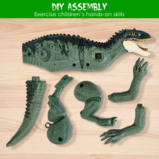 Remote Control Dinosaur Toy product image