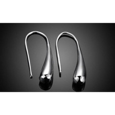 Sterling Silver Plated Waterdrop Hook Earrings product image