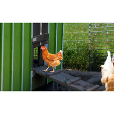 iMounTEK® Automatic Chicken Coop Door product image