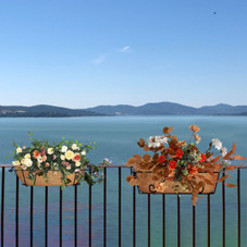 NewHome™ Coconut Liners for Planters product image