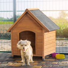 39-Inch Waterproof Fir Dog House with Elevated Floor product image