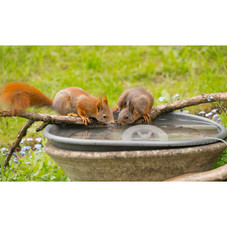 iMounTEK® 70W Automatic Bird Bath Heater product image