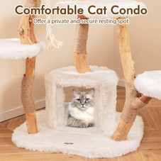 66-Inch-Tall Solid Wood Modern Cat Tree Tower with Perch product image