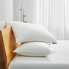 Serta Goose Feather and Down Fiber Pillow (Set of 2) product image
