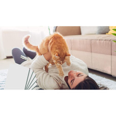 Panther Armor Cat Scratch Deterrent Tape product image