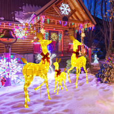 3-Pieces Lighted Family Deer Set  product image