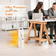 700W Portable Oil Heater with Adjustable Thermostat  product image