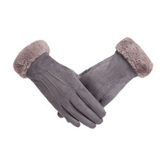 Clarissa Suede Touchscreen Gloves product image