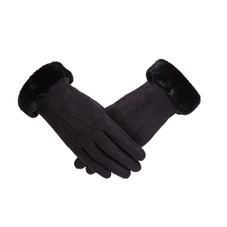 Clarissa Suede Touchscreen Gloves product image