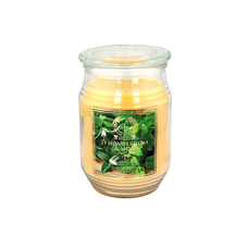 Toccata™ Aroma Scented Candles, 18 oz. (1 or 8-Pack) product image