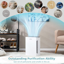 Air Purifier with Sleep Mode or Replacement Air Filters  product image