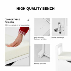 Shoe Bench Storage Chest with Removable Cushion  product image