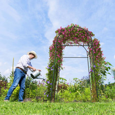 7.5-Foot Garden Arch Trellis with PE Coated Metal Structure product image