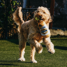 14-Inch Durable Soft Plush Squeaky Rope Dog Toy product image
