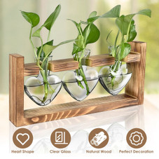 Desktop Plant Propagation Station product image