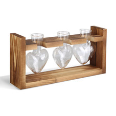 Desktop Plant Propagation Station product image