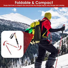 LakeForest Collapsible Hiking Poles (1 Pair) product image