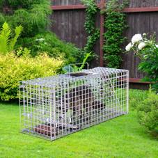 25.59" Humane Animal Trap Cage product image