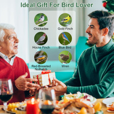 Squirrel-Proof Bird Feeder product image