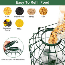 Squirrel-Proof Bird Feeder product image