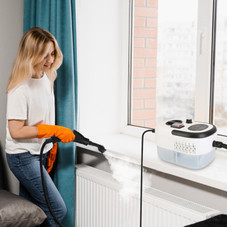 Handheld Steamer Cleaner product image