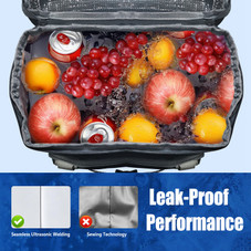 NPolar Cooler Backpack product image