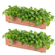 Wooden Flower Planter Window Box (1- or 2-Pack) product image
