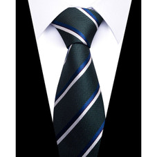 Formal Classic Patterned Tie product image
