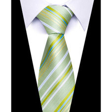 Formal Classic Patterned Tie product image